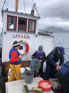 Marmelkurs. Båten blir mye brukt som turbåt og «skoleskip». Her er det marmelkurs for elever, som får praktisk innføring i kystkulturen. Foto: Øksnes kystlag
